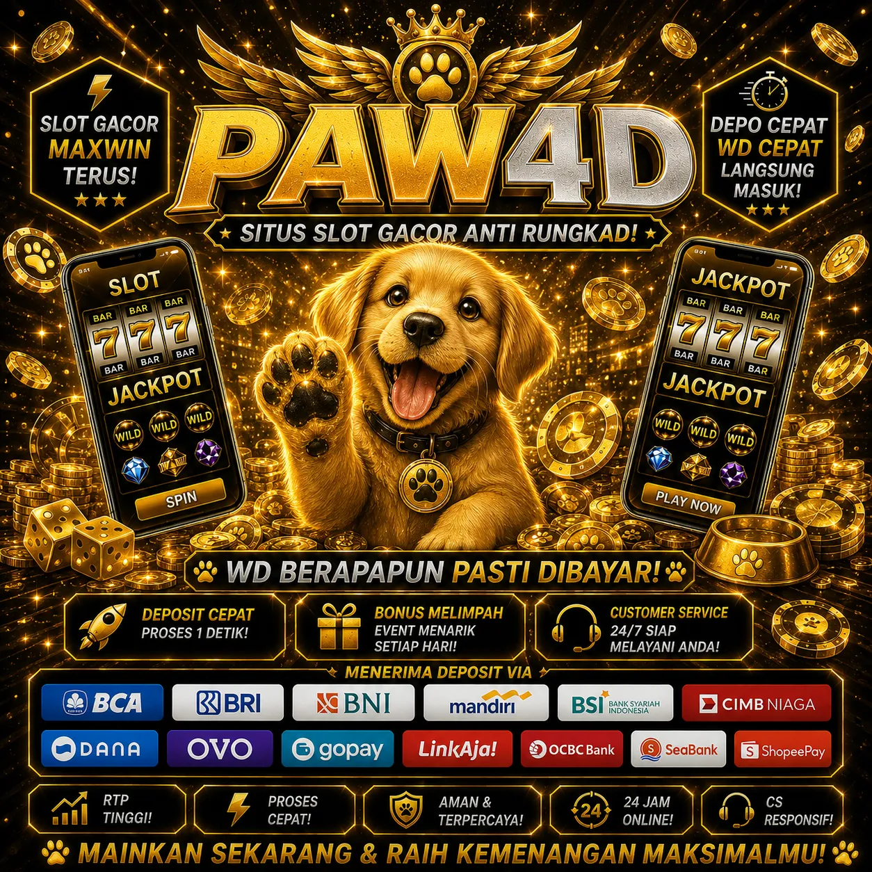 PAW4D